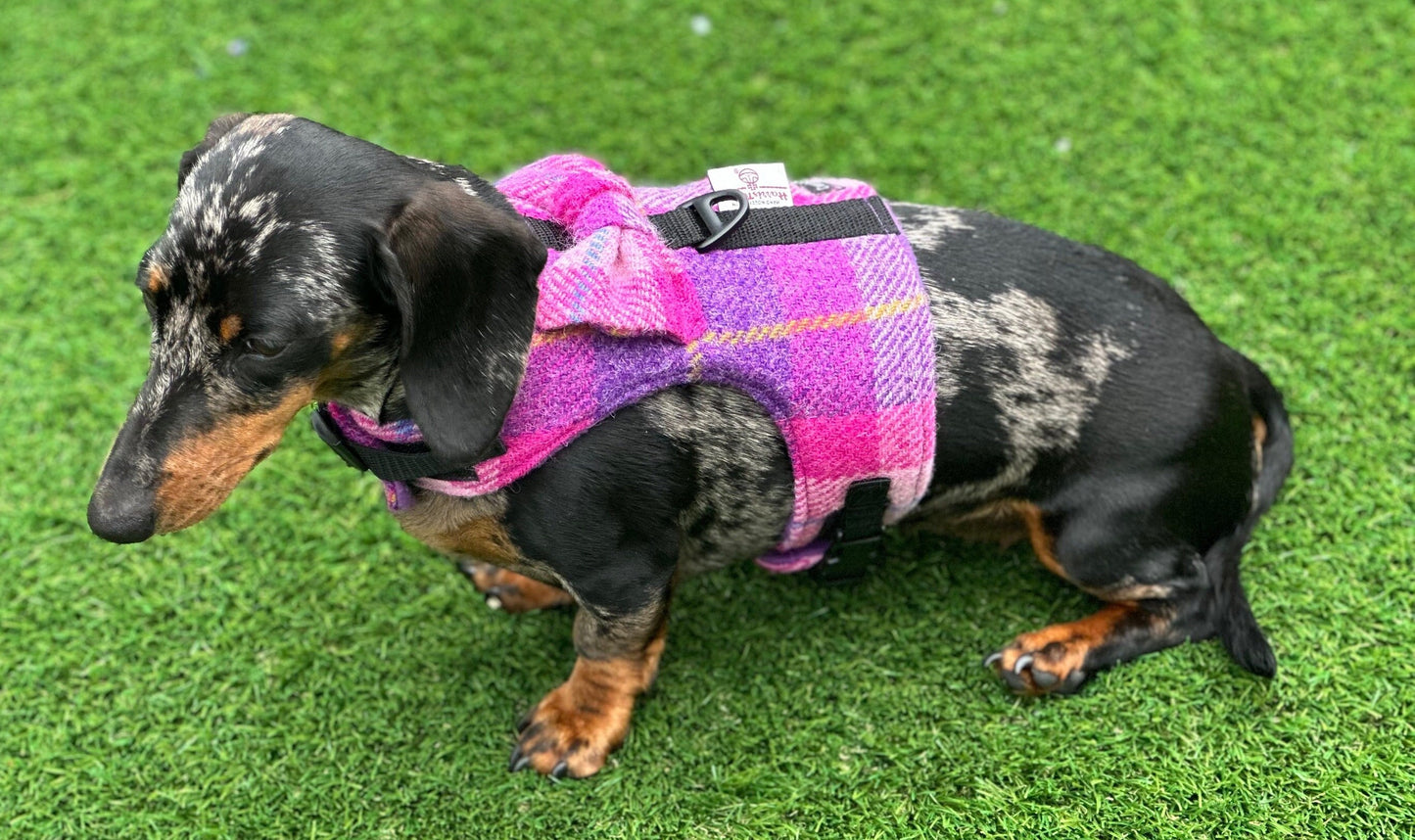 Harris Tweed Dachshund Harness: Fleece Lined Dog Vest with Bow