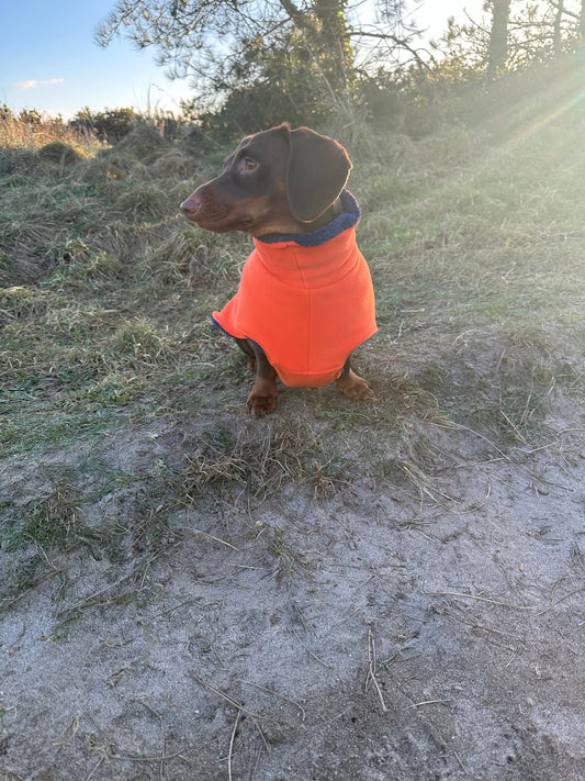 Dachshund Fleece Dog Drying Coat: Absorbent Terry Lined, Washable Jumper
