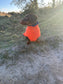 Dachshund Fleece Dog Drying Coat: Absorbent Terry Lined, Washable Jumper