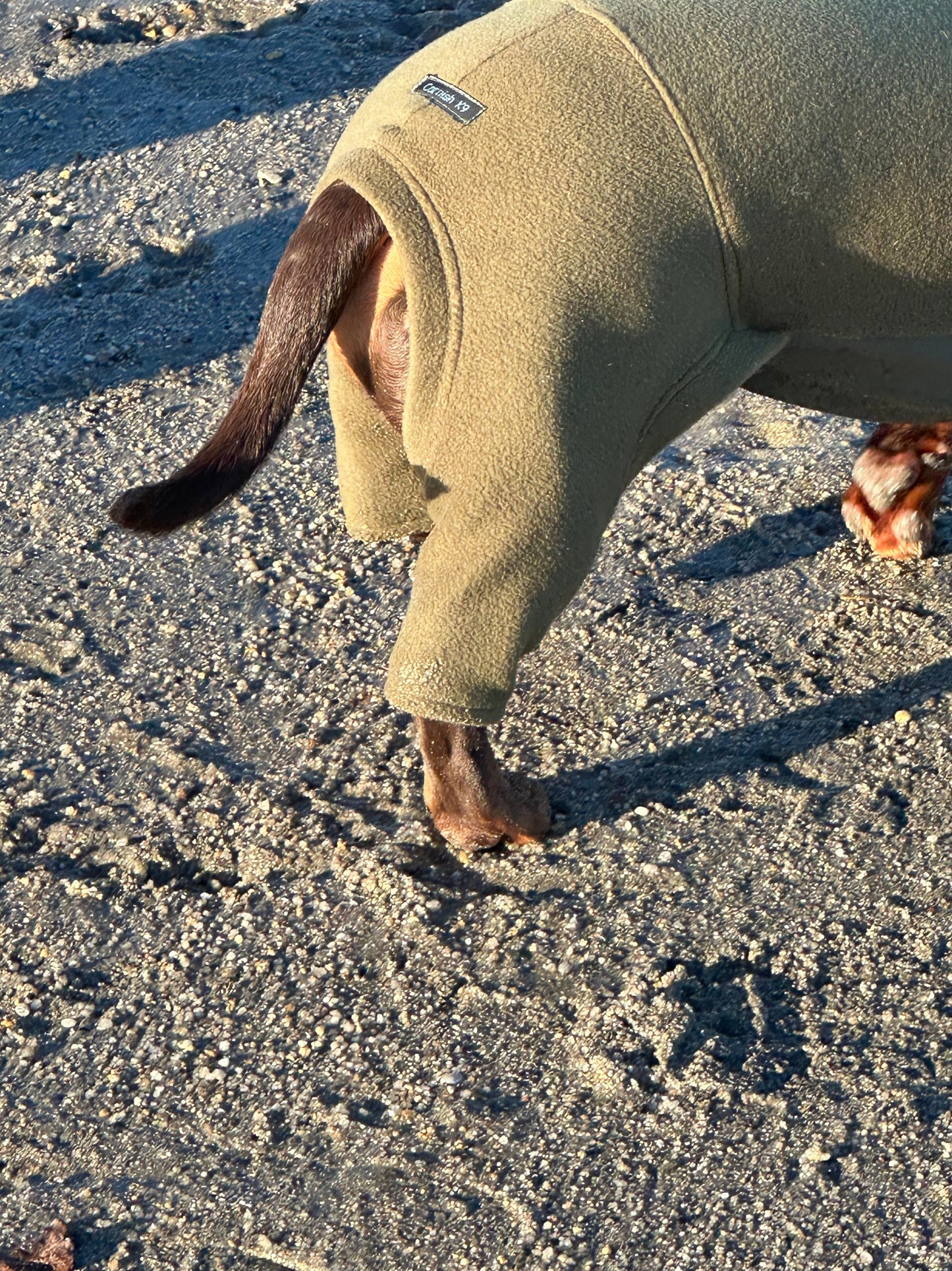 Mini Dachshund Fleece Onesie: Waterproof Tummy, Mud Repellent Dog Jumpsuit