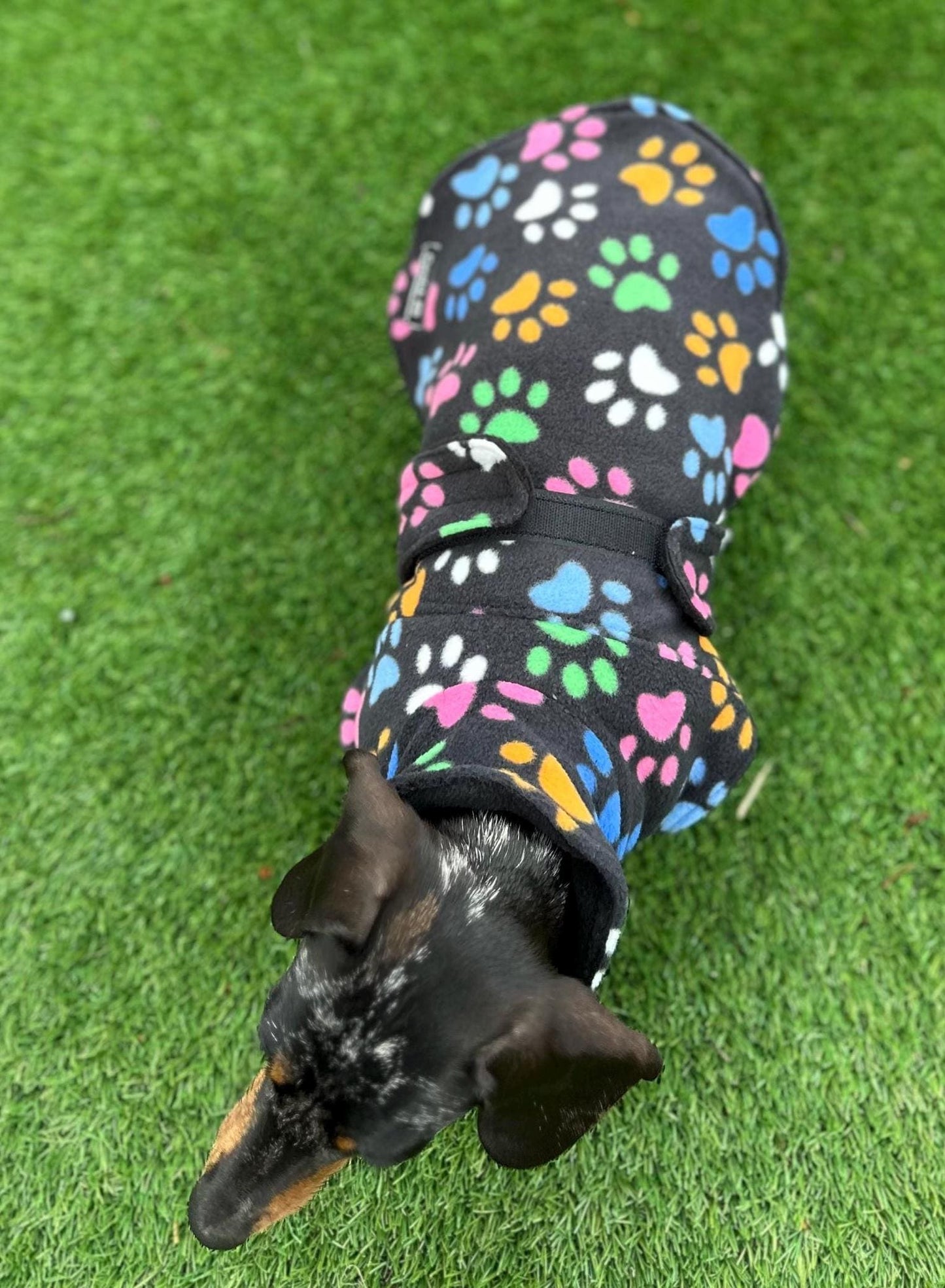 Fleece Dachshund Coat: Water Repellent Dog Jumper, Custom Fit