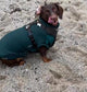 Dachshund neoprene jumper with water resistant belly panel