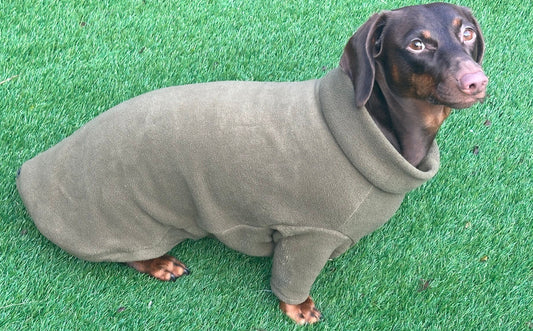 Dachshund Fleece Dog Jumper: Breathable, Water-Resistant, Embroidered