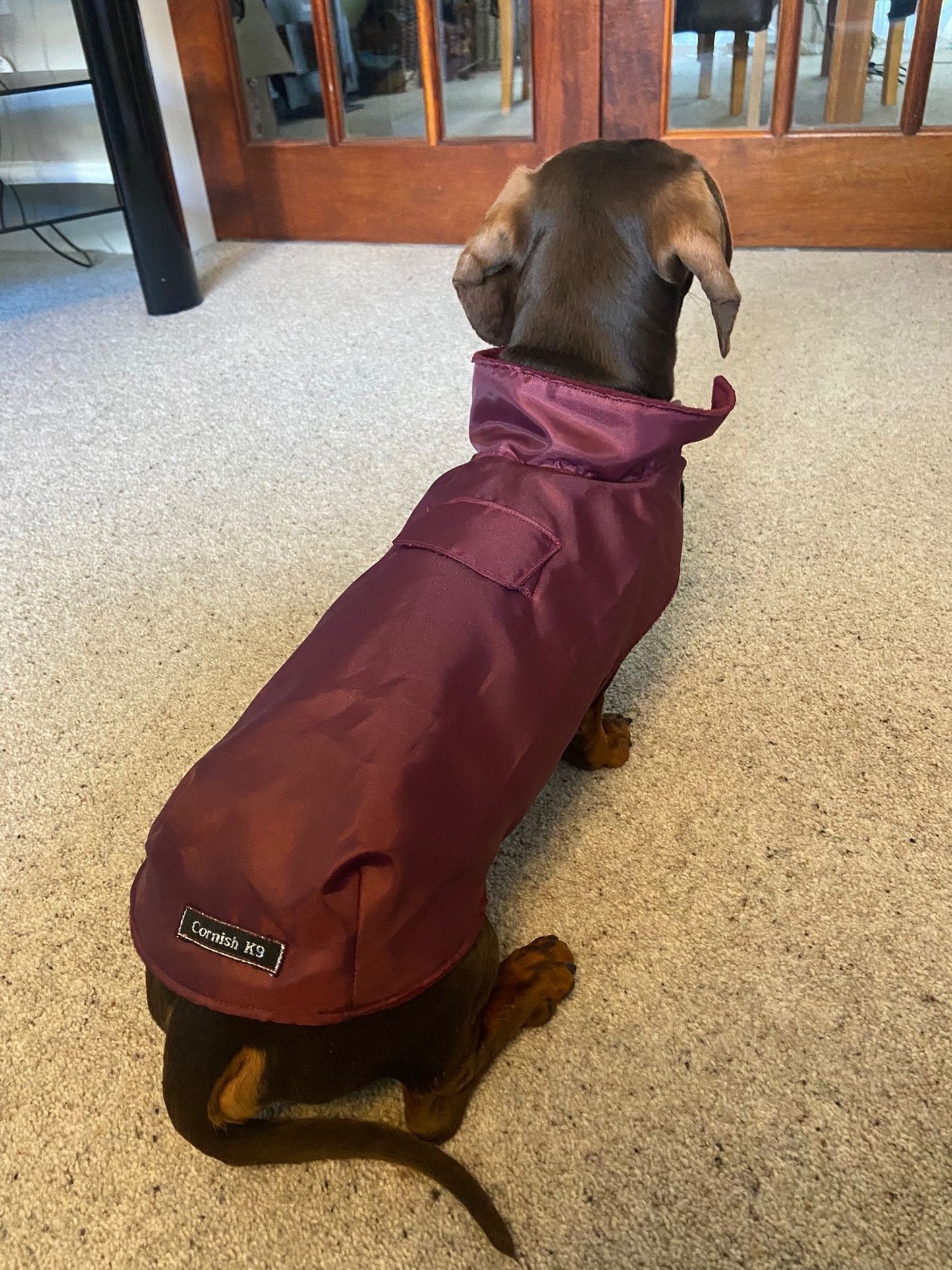 Waterproof Dachshund Coat: Lightweight Fleece-Lined Dog Raincoat