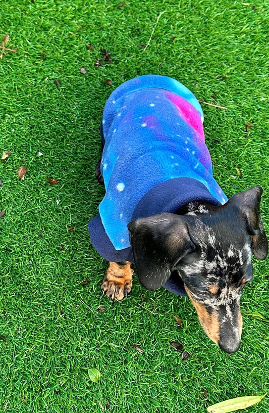 Waterproof Softshell Dachshund Fleece Jumper: Galaxy Print, Warm Tummy Protection