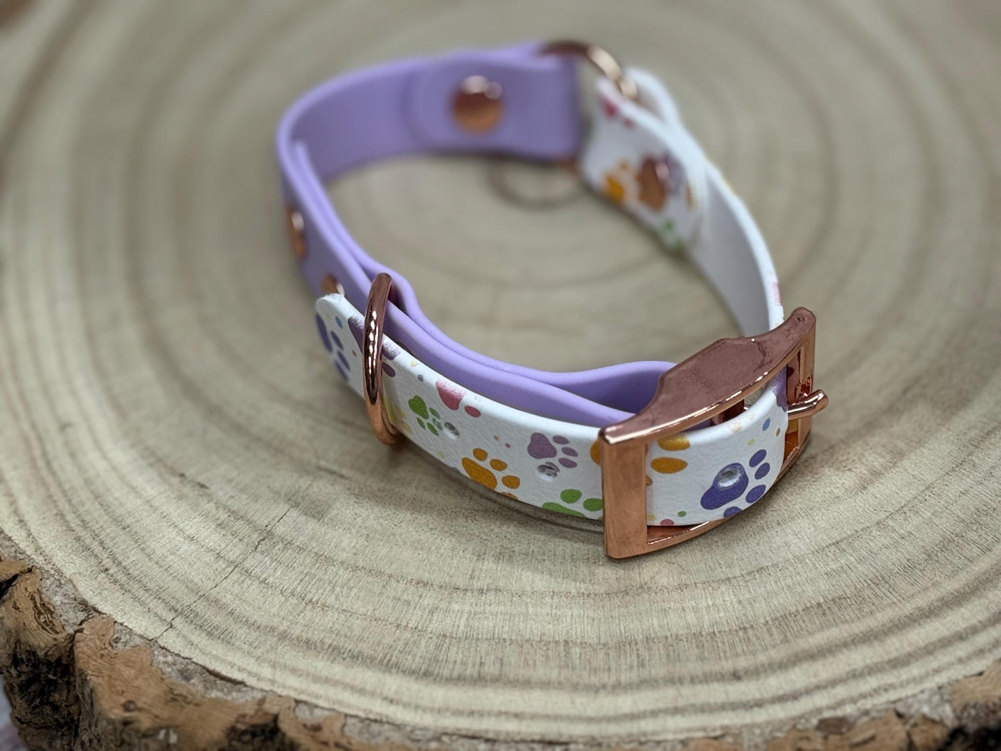 Waterproof Biothane Dog Collar & Lead Set: Rose Gold Hardware