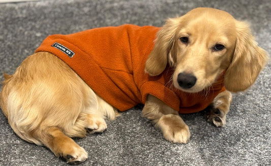 Water Repellent Dachshund Fleece Jumper: Warm & Breathable Dog Polo