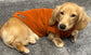 Water Repellent Dachshund Fleece Jumper: Warm & Breathable Dog Polo
