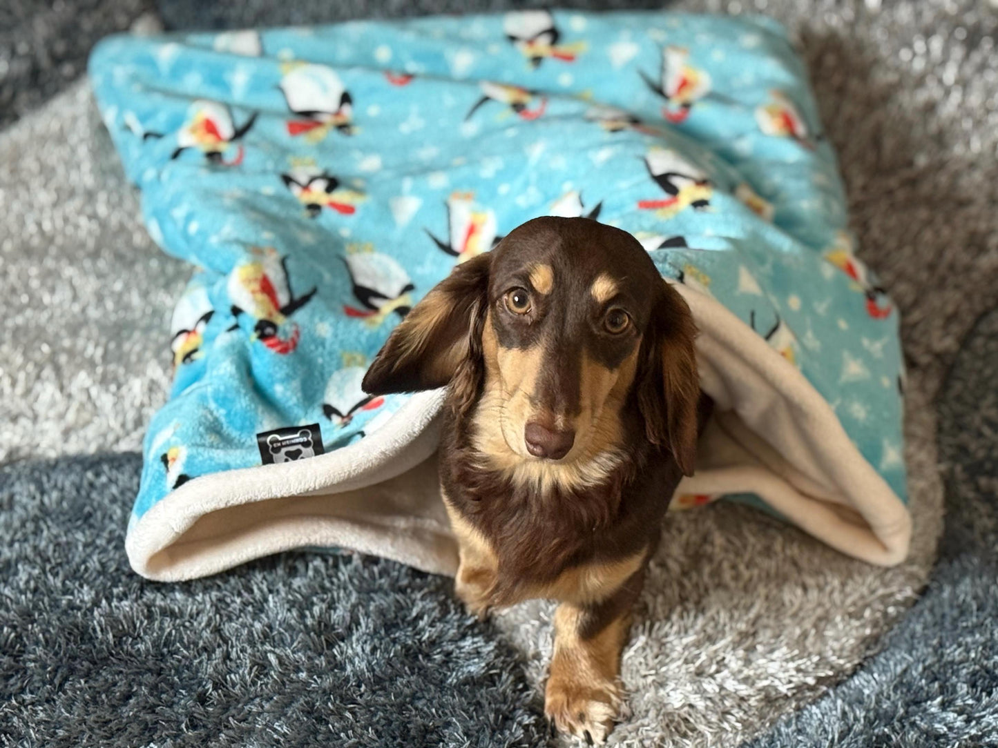 Christmas Penguin Fleece Dog Snuggle Sack: Padded Dachshund Bed