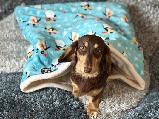 Christmas Penguin Fleece Dog Snuggle Sack: Padded Dachshund Bed