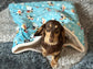 Christmas Penguin Fleece Dog Snuggle Sack: Padded Dachshund Bed