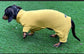 Bamboo Dog Onesie: Anti-Allergy Cooling Jumpsuit, Dachshund Pajamas