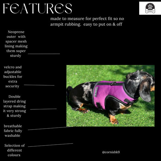 Dachshund made to measure Neoprene Dog Harness: No-Rub Comfort Vest