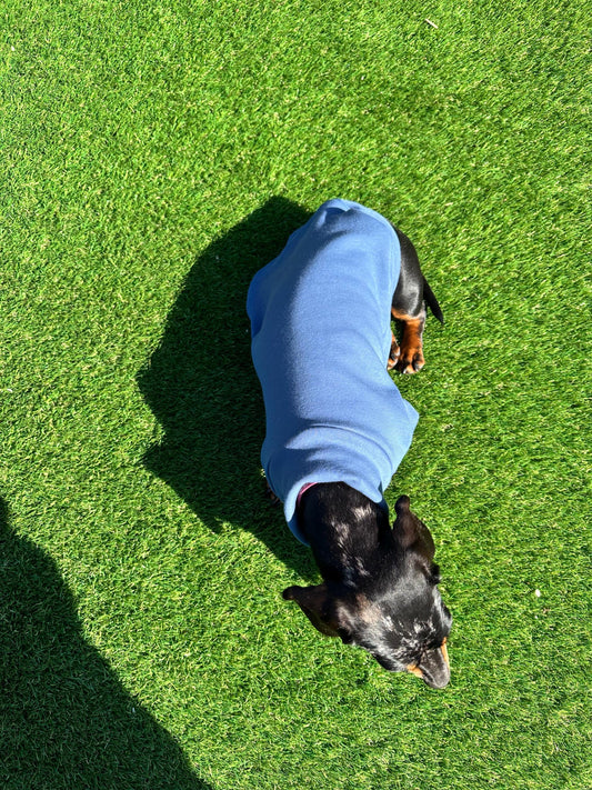 Dachshund Fleece Sweatshirt: Washable Dog Jumper