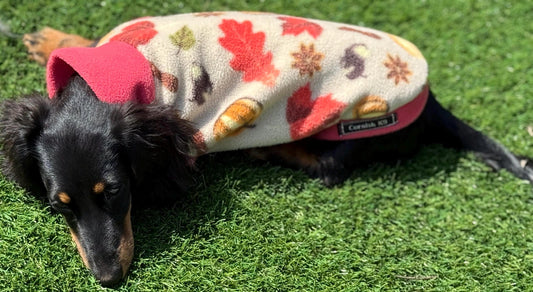 Personalized Dachshund Fleece Jumper: Water Repellent Dog Coat