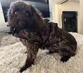 Dachshund Quilted Camouflage Dog Coat: Water-Resistant Fleece Lined