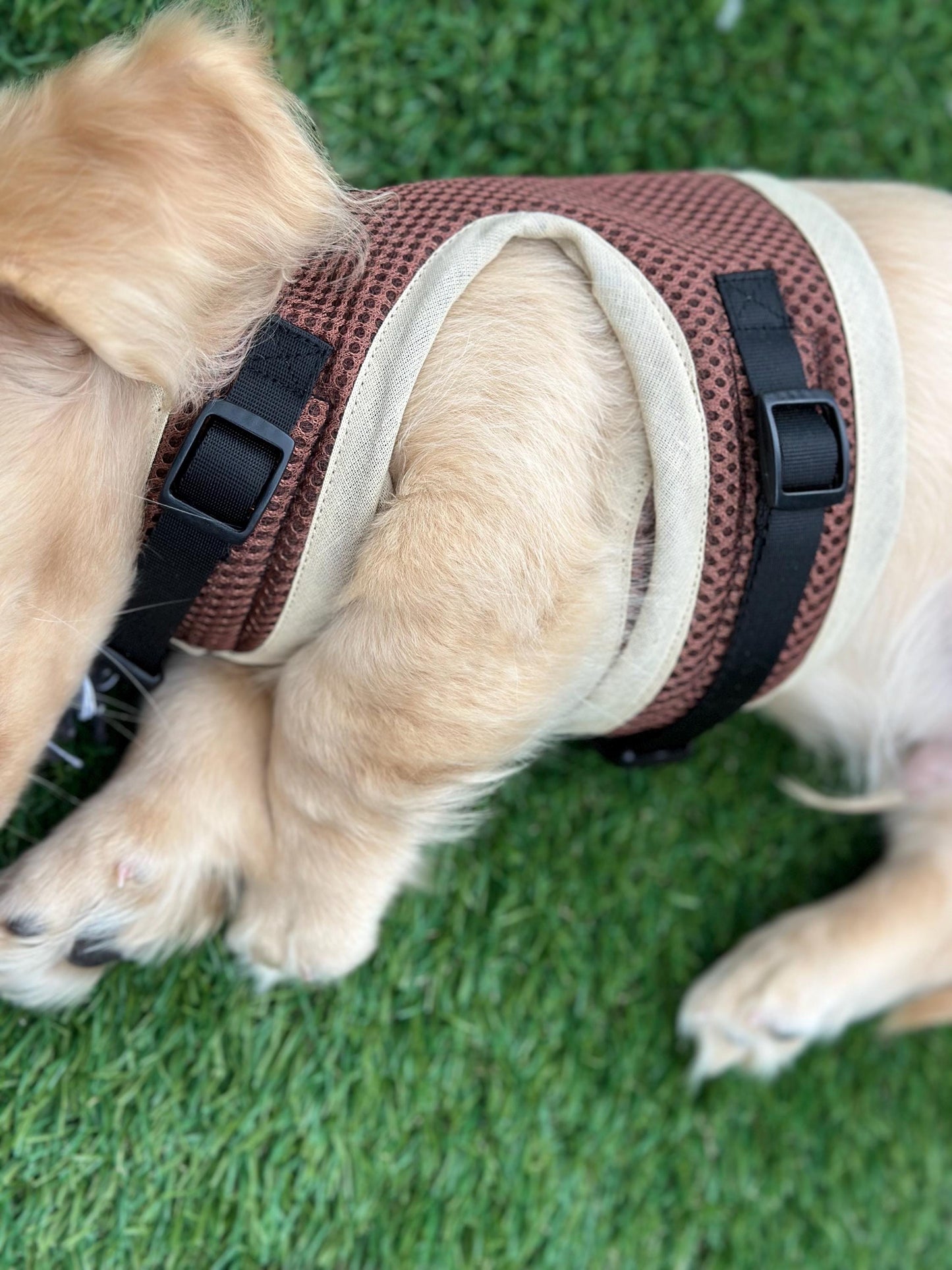 Dachshund harness ,dog harness ,dachshund dog vest , rub free harness