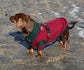 Dachshund  zipped neck  fleece ,dog jumper,dachshund legged jumper ,dachshund jumper , dachshund fleece,dachshund fleece jacket