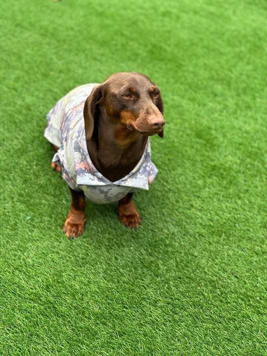 Dachshund Scuba Crepe Jumper: Washable Dog Tank Top