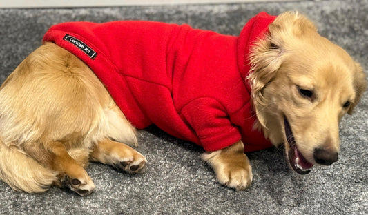 Water & Mud Repellent Dachshund Fleece Hoodie: Front Leg Jumper