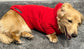 Water & Mud Repellent Dachshund Fleece Hoodie: Front Leg Jumper