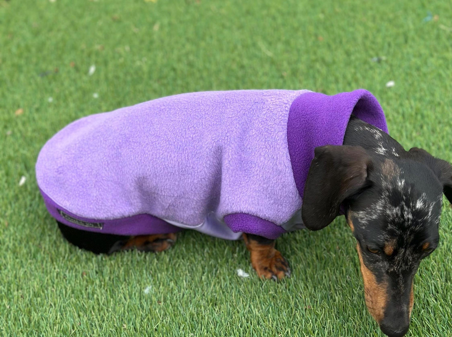 Waterproof Dachshund Fleece Jumper: Eco-Friendly Dog Suit