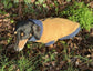 Dachshund zipped Fleece jumper ,dachshund  tankies, dog jumper, dog fleece ,washable dog jumper,ivdd jumper,dachshund fleece
