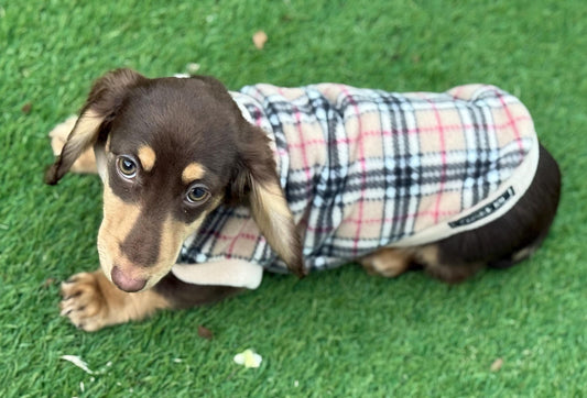 Beige Tartan Dachshund Fleece Jumper: Water & Mud Repellent