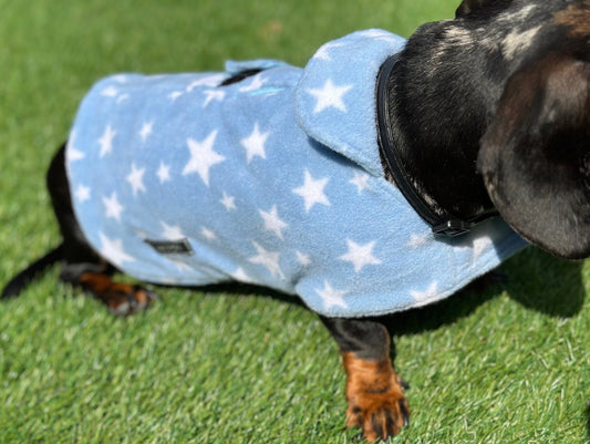 Dachshund Fleece Dog Coat: Double Layered, Water Repellent