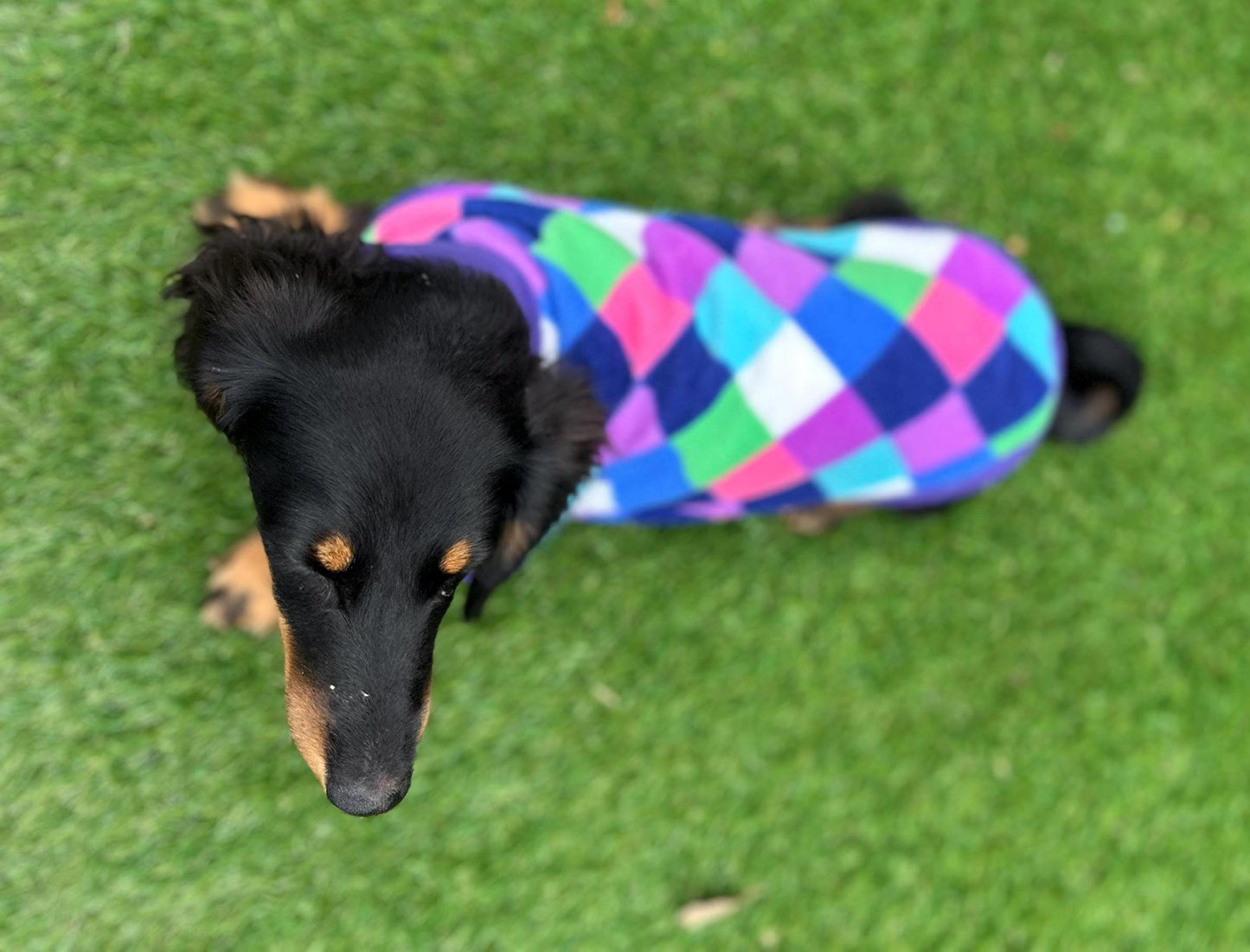Dachshund Fleece Dog Jumper: Water & Mud Repellent, Breathable, Multi-Colored