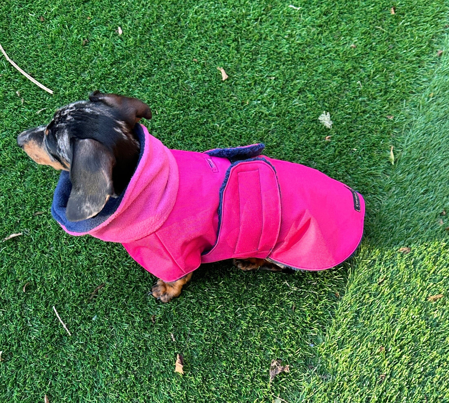 Waterproof Dachshund Coat: Fleece Lined, Mud Repellent