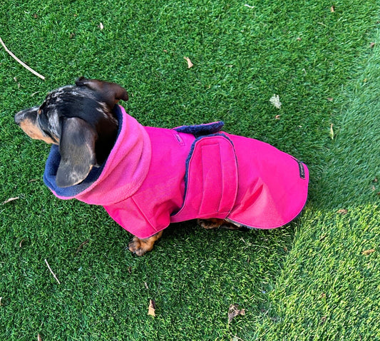 Waterproof Dachshund Coat: Fleece Lined, Mud Repellent
