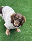 Dachshund Fleece Dog Jumper: Water & Mud Repellent, Zipped Tankie.