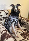Waterproof Quilted Italian Greyhound Coat: Sherpa Fleece Lined, Chest Covering.