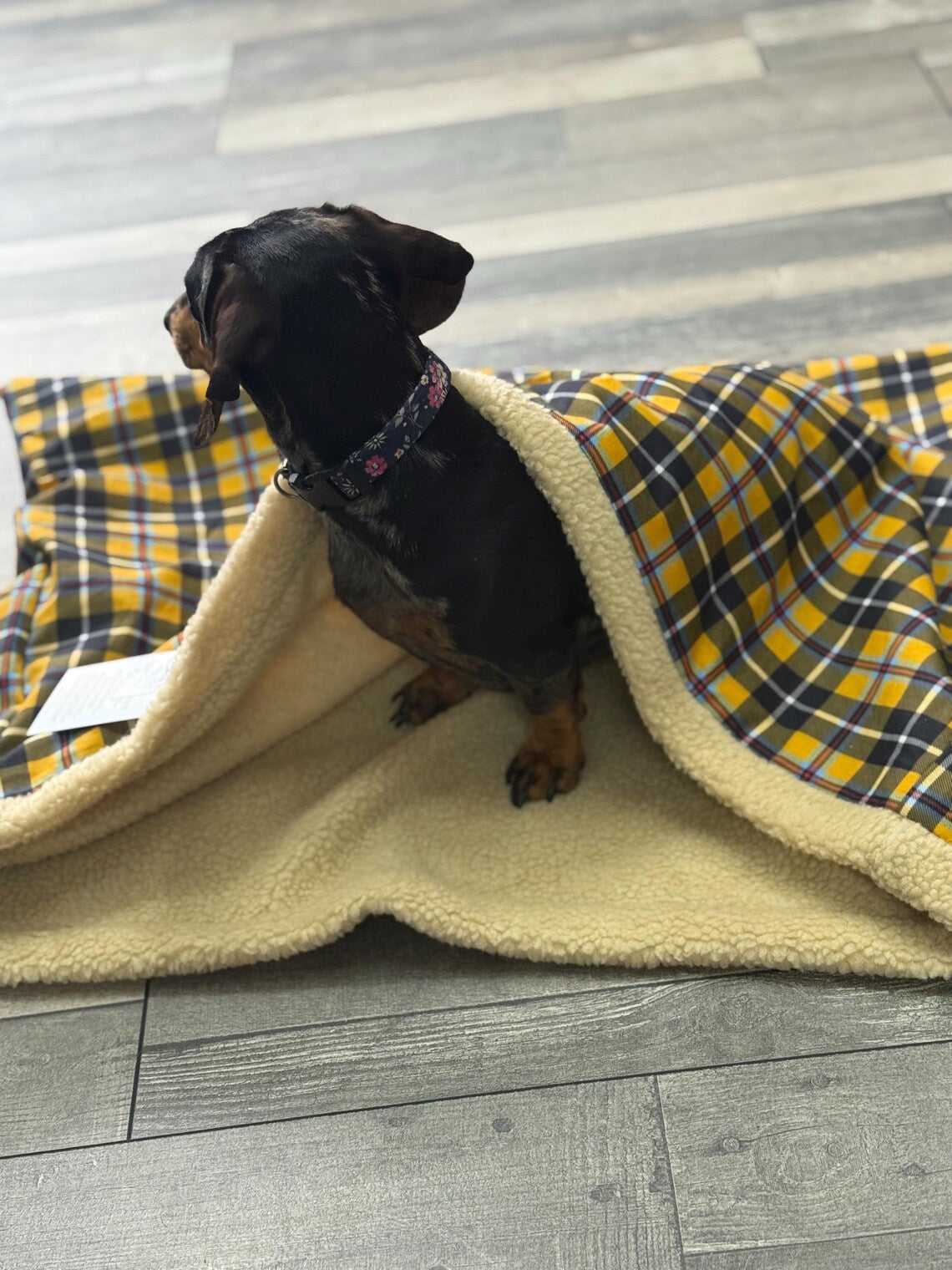 Cornish Tartan Dog Snuggle Sack: Sherpa Fleece Puppy Warmer.