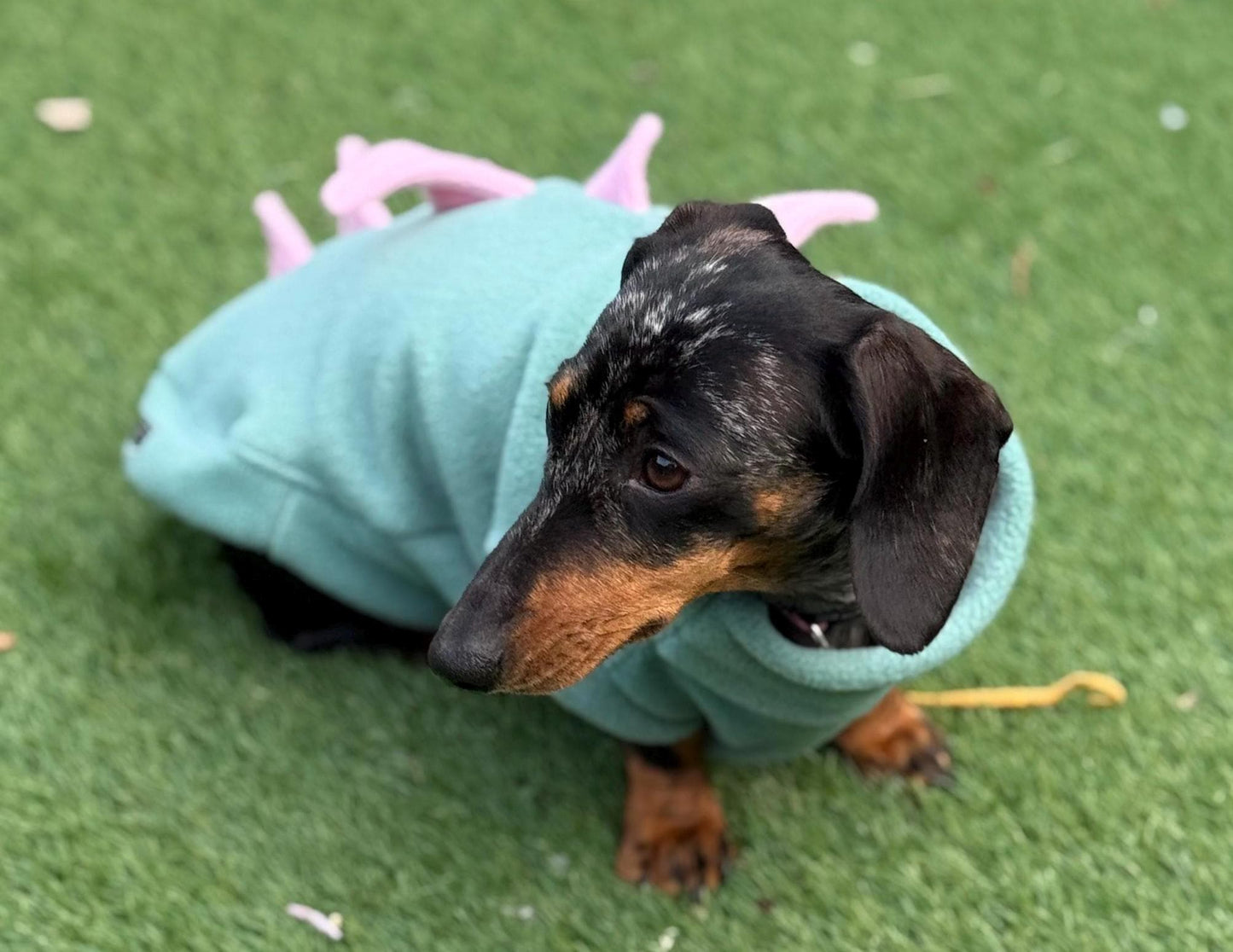 Dachshund Dino Fleece Jumper: Warm, Breathable Dog Coat