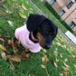 Water-Resistant Dachshund Fleece Jumper: Warm Puppy Coat