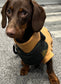 Waterproof Cordura Dachshund Harness: Padded Fleece Lined, No Choke