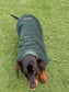 Dachshund Fleece Jumper: Softshell Tummy, Mud & Water Repellent