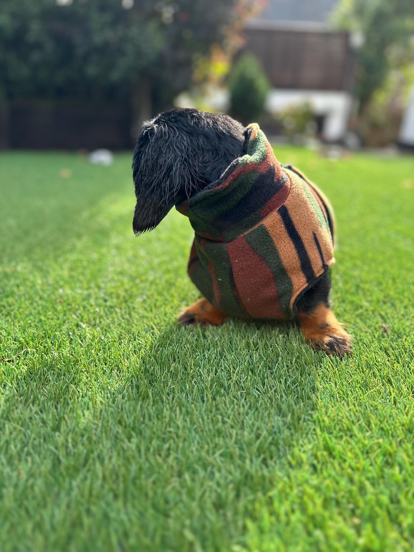 Fleece Dachshund Coat: Water Repellent Dog Jumper, Custom Fit