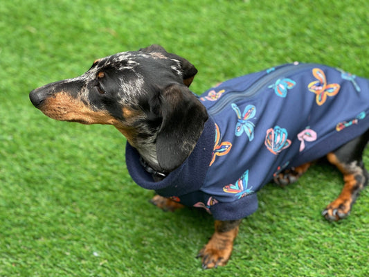 Dachshund zipped Softshell waterproof  fleece ,dachshund zipped  jumper ,dachshund jacket,water and mud repellent fleece , dachshund fleece