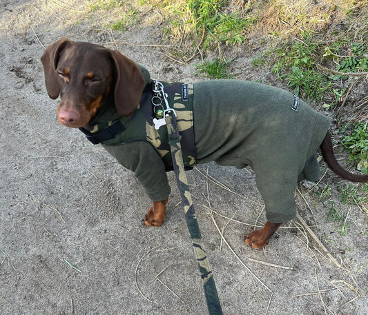 Water Resistant Fleece Dachshund Onesie: Mud Repellent Dog Coat