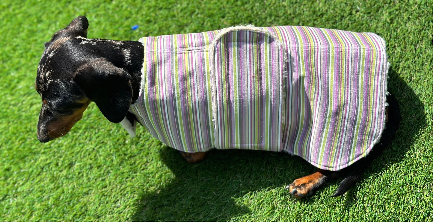 Water resistant dog coat, waterproof dog coat, shower proof dog coat ,pet lover, pet accessories,dachshund dog coat