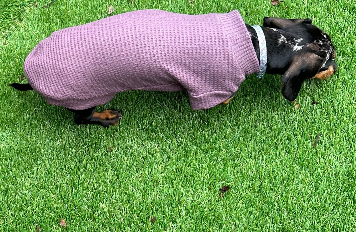 Dachshund waffle jersey top ,dachshund tankie top ,dachshund t-shirt ,dachshund jumper, dog jumper,