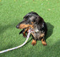 Waterproof Biothane Dog Collar & Lead Set: Rose Gold Hardware
