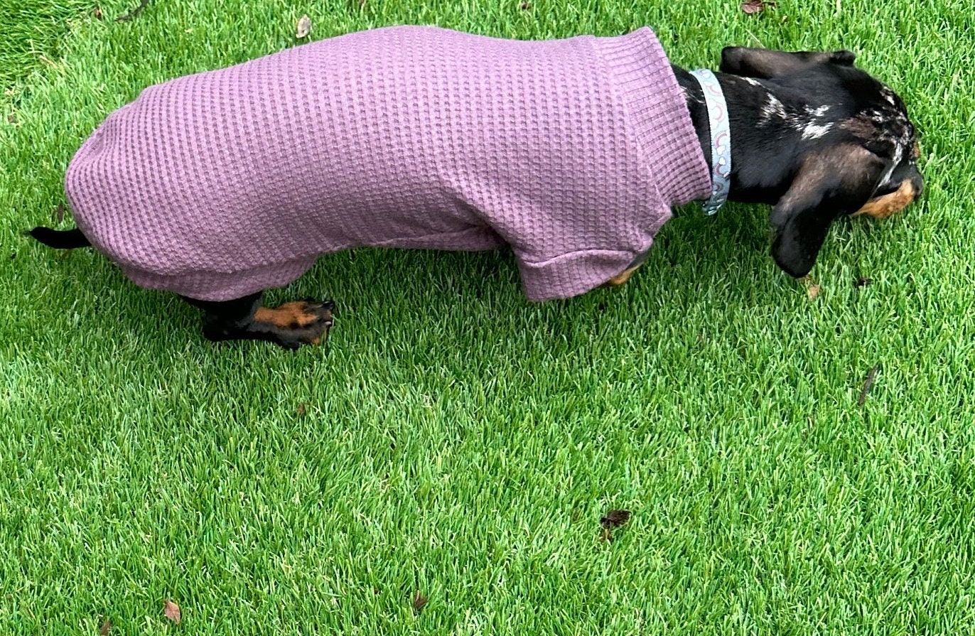 Dachshund Waffle Knit Jersey Top: Handmade Dog Jumper