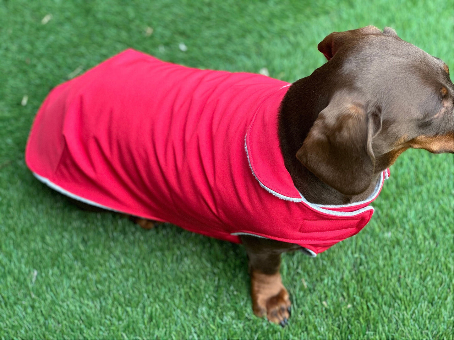 Waterproof Softshell Dachshund Coat: Fleece Lined, Windproof