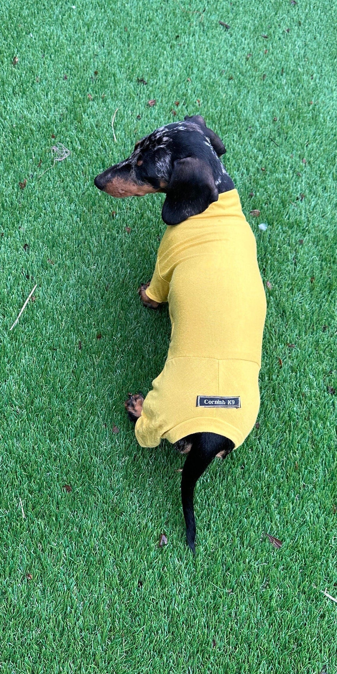 Bamboo Dog Onesie: Anti-Allergy Cooling Jumpsuit, Dachshund Pajamas