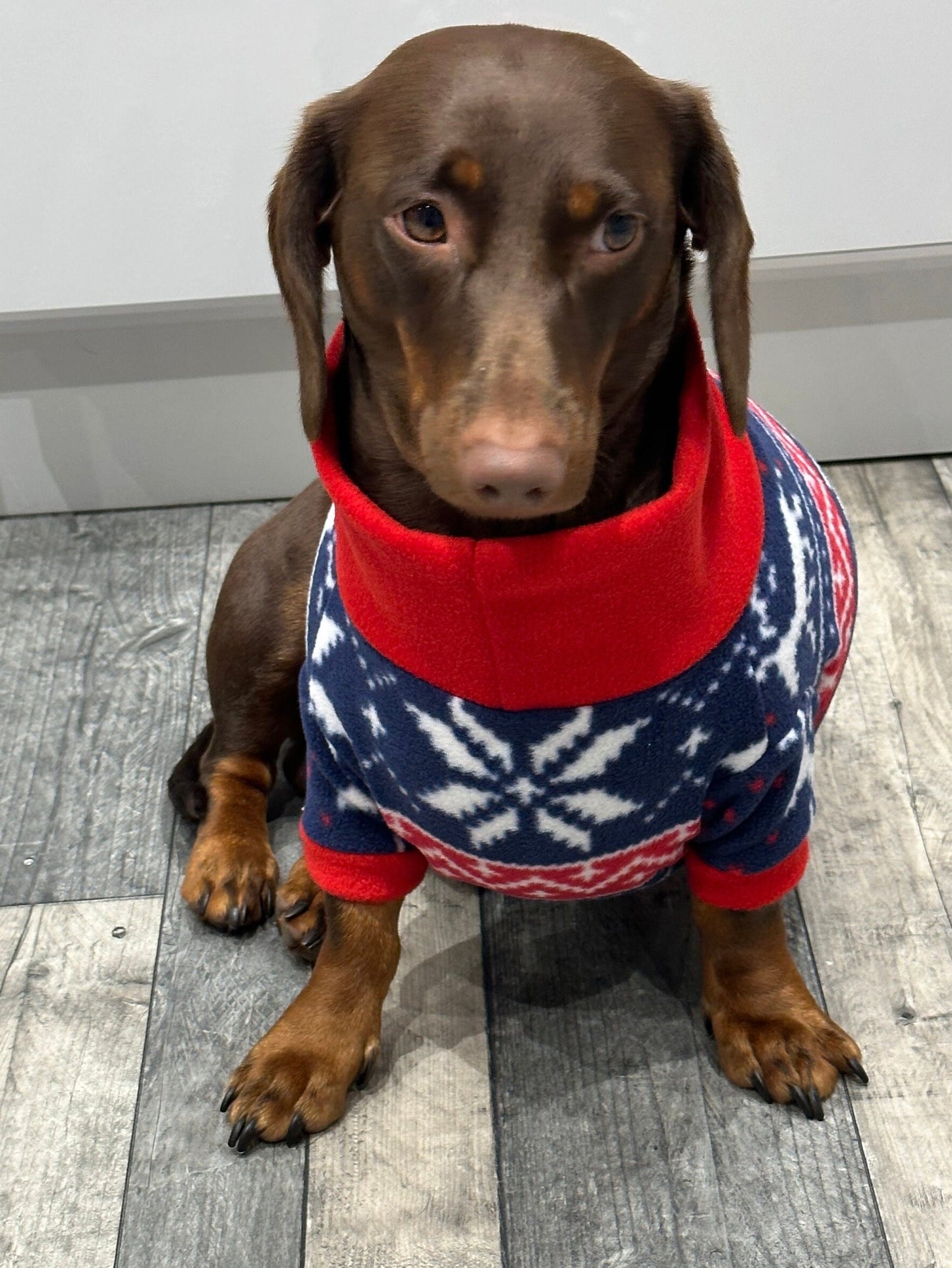 Dachshund Christmas Fleece coat ,dog jumper ,breathable dog jumper  , pet accessories, dog jacket,washable dog jumper