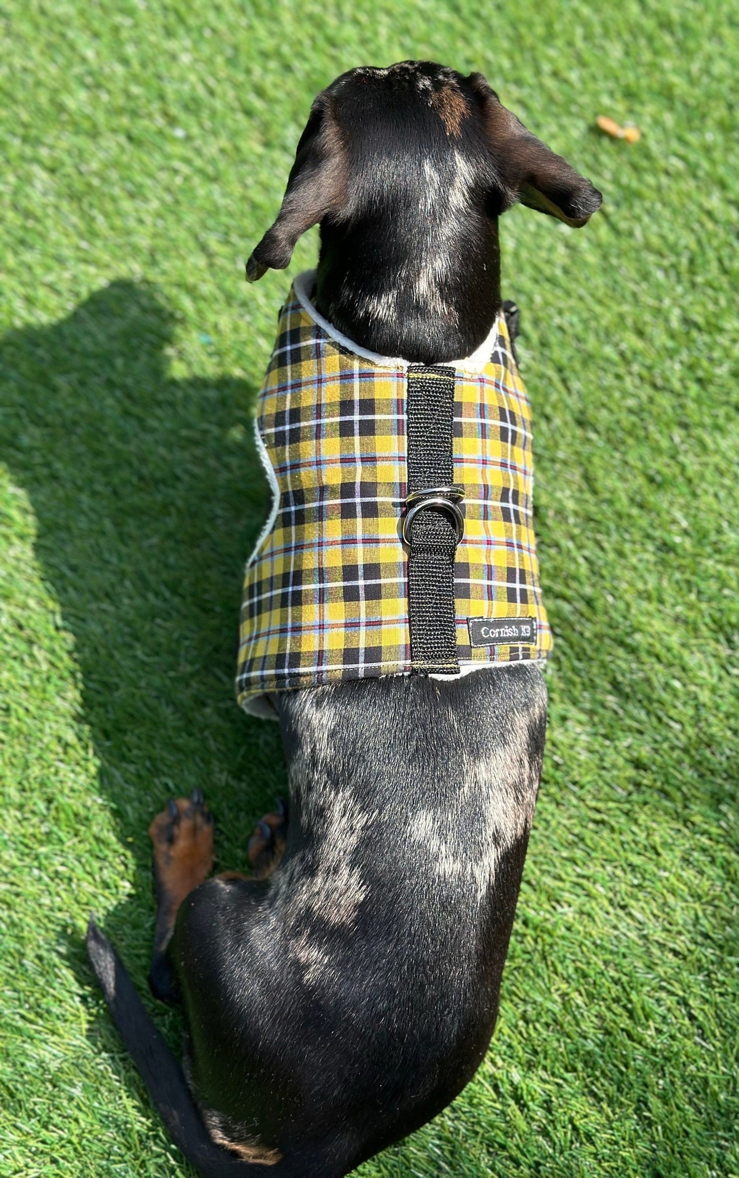 Cornish Tartan Dachshund Harness: Fleece Lined, No-Rub Design